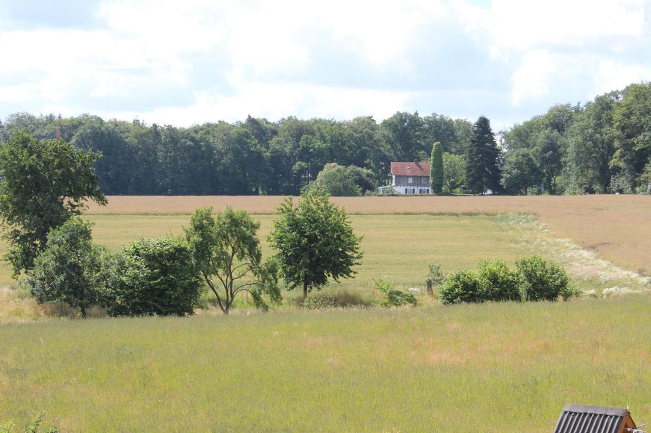 Ferienwohnung Landsburgblick Neuental Екстер'єр фото
